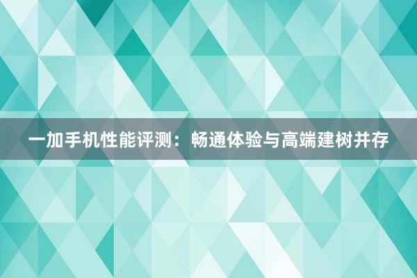 一加手机性能评测：畅通体验与高端建树并存